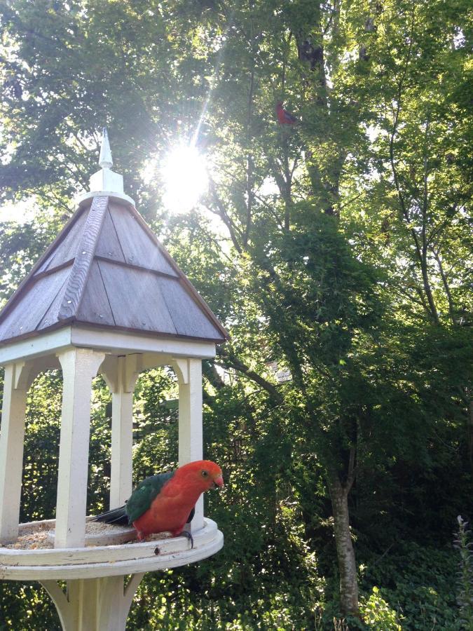Illalangi Boutique Cottage بلاكيث المظهر الخارجي الصورة
